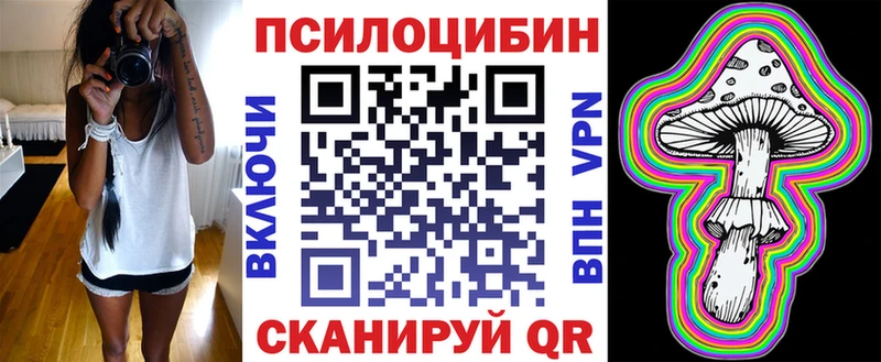 ОМГ ОМГ tor  мориарти клад  Псилоцибиновые грибы мицелий  Кисловодск 